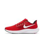 Кроссовки Nike Air Zoom Pegasus 39 'Ohio State' 3