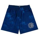Штаны Eric Emanuel EE Basic Short 'Night Clouds' 1