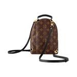 Рюкзаки Louis Vuitton Palm Springs Mini 'Brown Monogram Canvas' 2