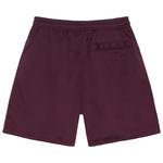 Шорты Stussy Big Basic Mesh Short 'Plum' 2