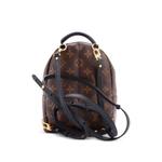 Мини-рюкзак Palm Springs Monogram Canvas 2