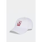 Кепка Liverpool FC Dad Cap 1