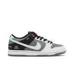 Кроссовки Nike Dunk Low SB 'Camcorder' 1