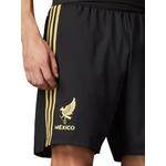 Шорты Mexico 2025 Gold Edition 2