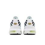 Кроссовки Nike Wmns Air Max Plus 'Dusty Cactus Barely Volt' 6