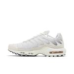 Кроссовки Nike Air Max Plus 'Pure Platinum' 3