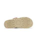 Сабо UGG Wmns Goldenstar Clog 'Driftwood' 4