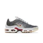 Кроссовки Nike Air Max Plus OG 'Neutral Grey' 1