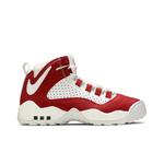 Кроссовки Nike Air Darwin 'Varsity Red' 1