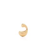 Dolphin Splash earring 1
