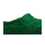 Кроссовки .SWOOSH x Nike ReactX Rejuven8 Slide 'Touch Grass - Kelly Green' 2
