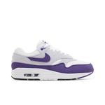 Кроссовки Nike Air Max 1 SC 'Field Purple' 1