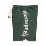 Шорты Godspeed CourtSide Shorts 'Green Wash' 3