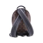 Рюкзак Palm Springs Monogram Canvas PM 2