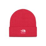 Шапка бини из коллаборации с The North Face 2