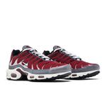 Кроссовки Nike Air Max Plus 'Team Red Cool Grey' 8