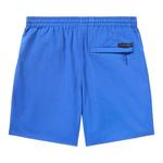 Шорты Billionaire Boys Club Sunrise 'Surf The Web' 2