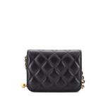 Мини-сумка через плечо Pearl Crush Flap Clutch with Chain Quilted Lambskin 2