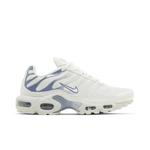 Кроссовки Nike Wmns Air Max Plus 'Пепельный шифер' 1