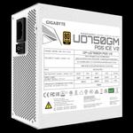 GIGABYTE UD750GM PG5 V2 ICE 750W 80Plus Gold сертифицирован, полностью модульный блок питания - белый 1