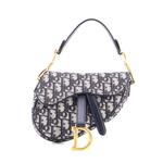 Saddle Handbag Oblique Canvas Mini shoulder bag 1