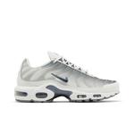Кроссовки Nike Wmns Air Max Plus 'Smoke Grey Ashen Slate' 1