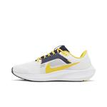 Кроссовки Nike Air Zoom Pegasus 40 'Michigan' 3