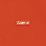 Худи Supreme WINDSTOPPER Zip Up Hooded Sweatshirt 'Orange' 3