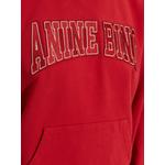 Harvey logo-appliqué hoodie 5