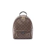 Рюкзак Monogram Palm Springs MM (2015-2026 годы) 1
