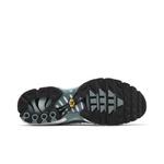 Кроссовки Nike Air Max Plus «Palm Pack — Waterway» 4