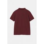 Бордовая футболка-поло Regular Fit с вышивкой лошади Tmnss25Po00017 3