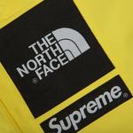 Брюки Supreme x The North Face Trans Antarctica Expedition Pant 'Yellow' 3