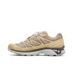 Кроссовки Salomon XT-6 Clear 'Safari' 3