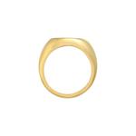 Кольцо-печатка Oval Shine Geo Basic Trend с золотым покрытием 4