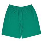 Шорты Supreme x Champion Mesh Short 'Green' 2