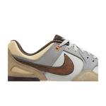 Кроссовки Nike Air Pegasus 89 Golf 'PGA Championship' 2