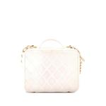 Сумка-сэтчел Golden Plate Vanity Case Quilted Metal and Lambskin Medium 2