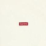 Рубашки на пуговицах Supreme Small Box Shirt 'Белый' 3