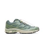 Кроссовки Salomon XT-6 'Laurel Wreath' 1