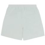 Плавки Supreme Nylon Water Short 'Pale Mint' 2