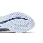 Кроссовки Nike Wmns Pegasus Premium 'Football Grey' 5