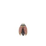 Серьга Mini Scarab из желтого золота с бриллиантами и сапфирами 1