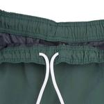 Плавки Stussy Big Basic Water Shorts 'Изумрудный' 3