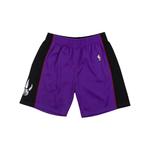 Шорты NBA 1999 Toronto Raptors Swingman 1