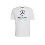 Motorsport MERCEDES - AMG PETRONAS FORMULA 1 TEAM DNA GRAPHIC TEE Мужская белая KE8164 6