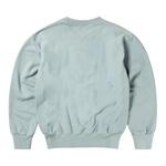 Свитшоты Aries Sunbleached Cross Grain Temple Sweatshirt 'Grey/Blue' 2