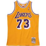 Топ 1998/99 Dennis Rodman Los Angeles Lakers Swingman Player 1