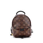 Мини-рюкзак Palm Springs Monogram Canvas 1