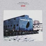 Футболка с коротким рукавом Supreme Day’s End Tee 'Ash Grey' 3